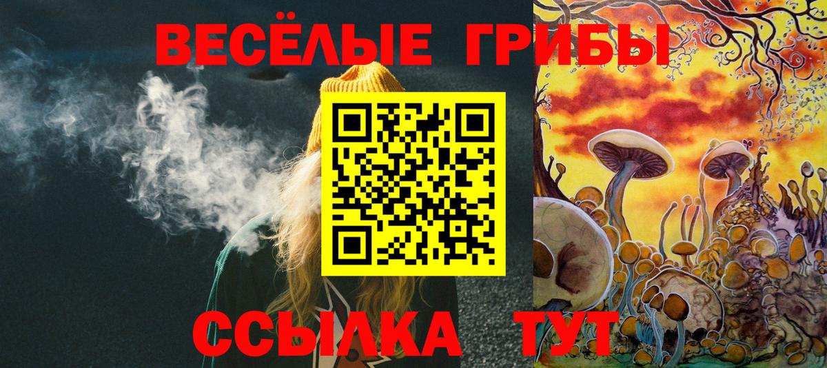 Озёры  Галлюциногенные грибы ЛСД  Вход с VPN 